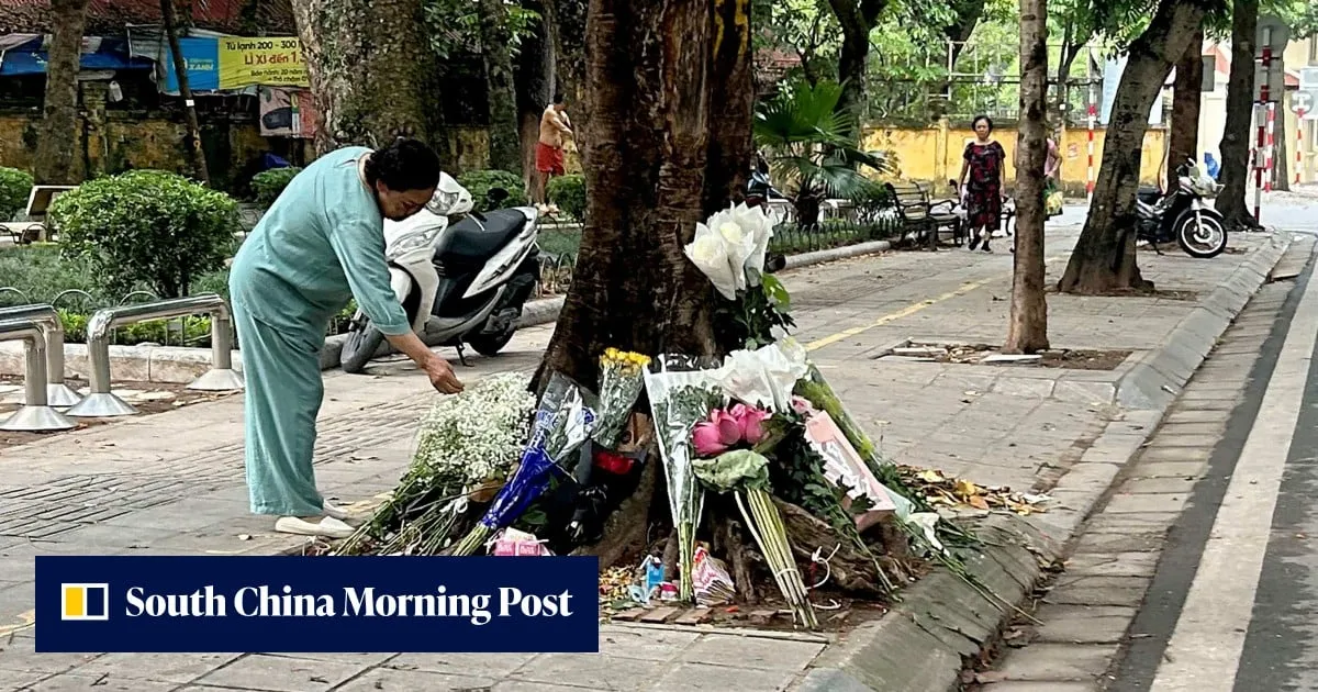 How a tree in Hanoi points to flowering of dissent among Vietnam’s Gen Z