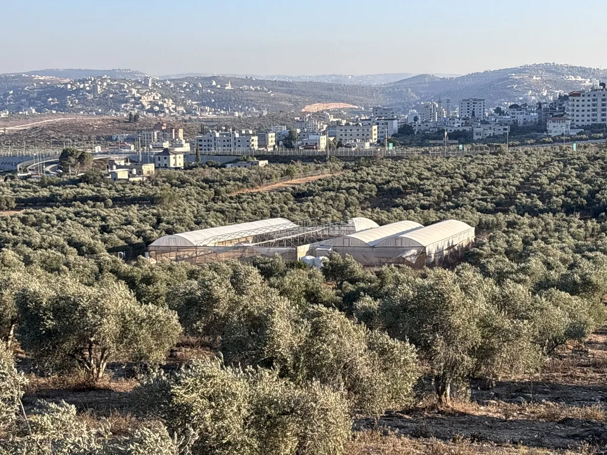 Palestinian farmers rebuild what Israeli settlers destroy in West Bank