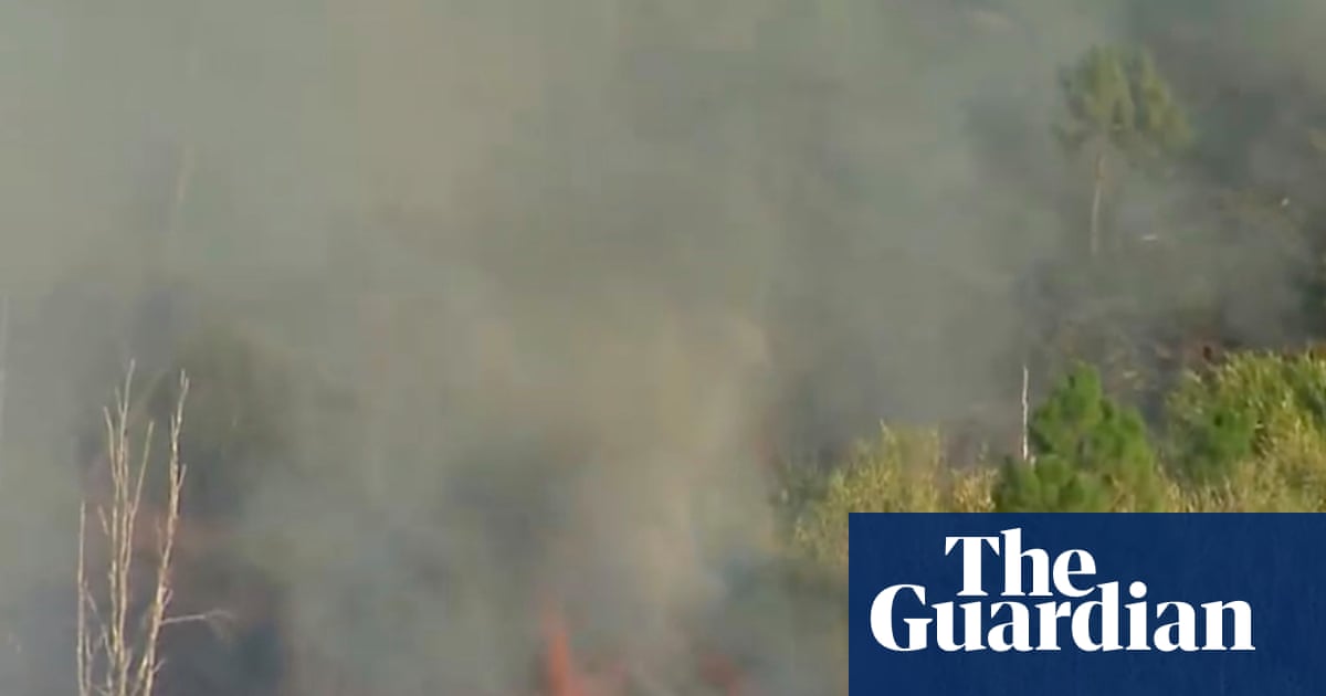 Two killed in plane crash near Gold Coast, igniting bushfire