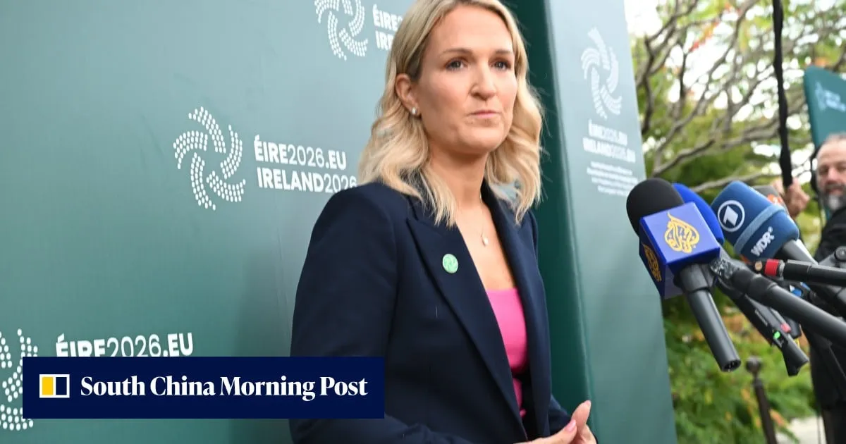 Ireland must prepare for Northern Ireland reunification vote, foreign minister says
