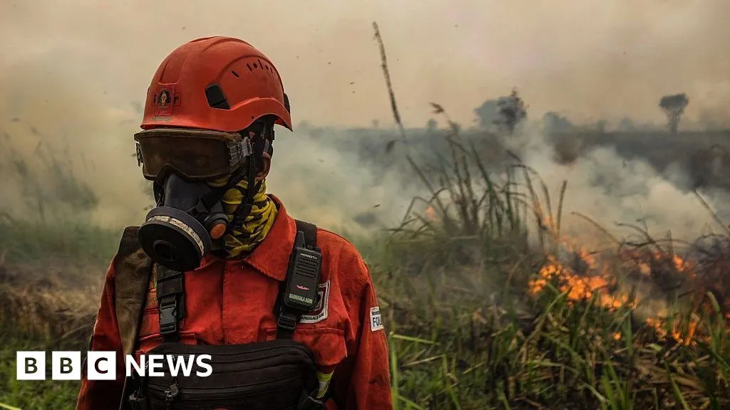 Toxic wildfire haze spreads across South East Asia as 'super' El Niño intensifies