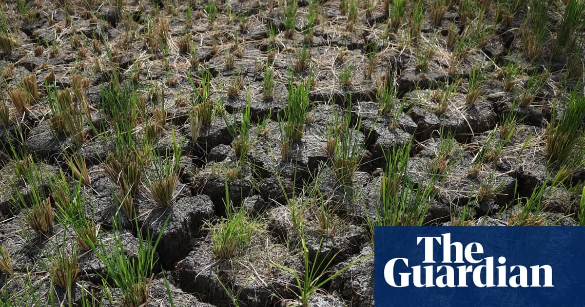 BoM forecasts strongest El Niño on record as research points to ‘alarming’ climate change influence