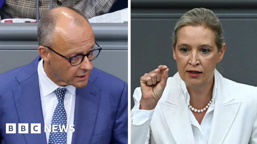 Germany's Merz attacks AfD in stormy debate after far-right election win