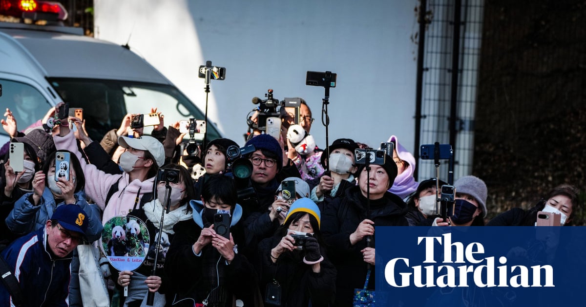 ‘I lost part of my heart’: last of Japan’s pandas leave for China as ties fray