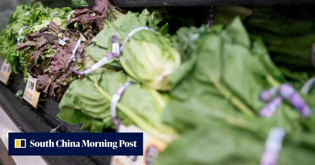 US declares end to lettuce parasite outbreak that killed 2