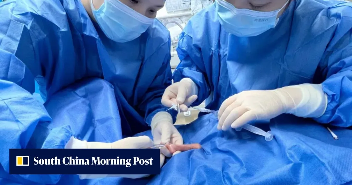 330-gram premature Chinese baby defies the odds to reach 2.5kg in 105 days, heads home
