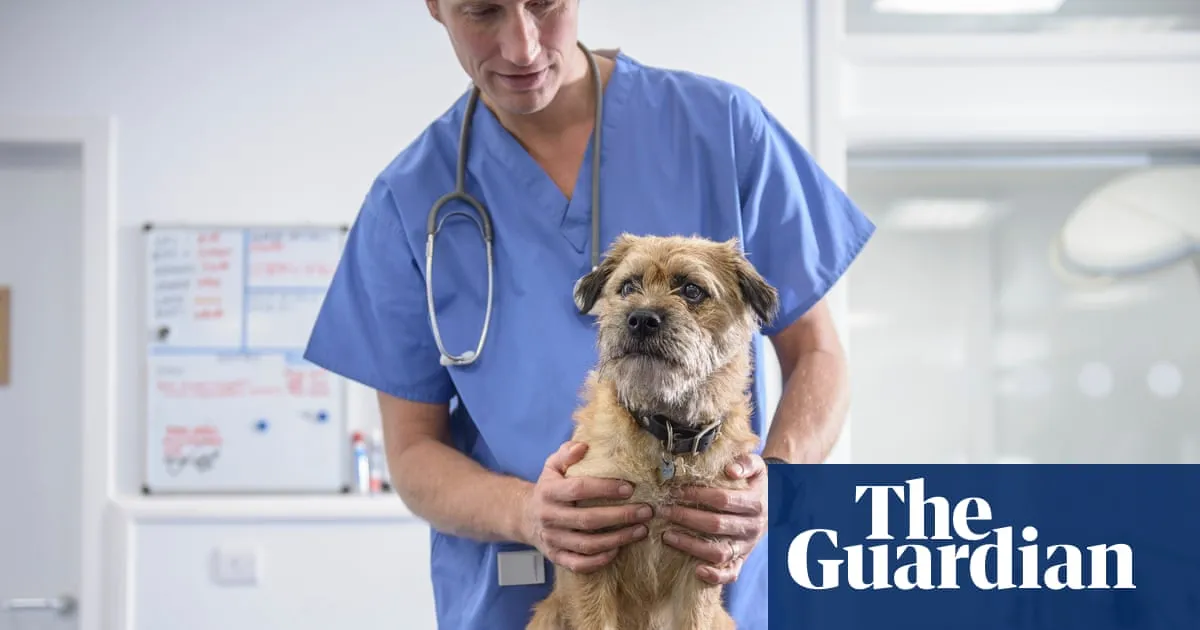 UK veterinary sector reforms planned to tackle high costs of pet care