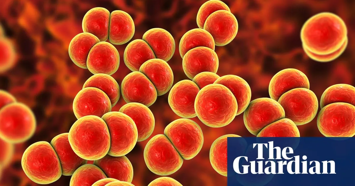 Gonorrhoea and syphilis rise by more than 50% in Australia with ‘concerning’ rise in cases in women
