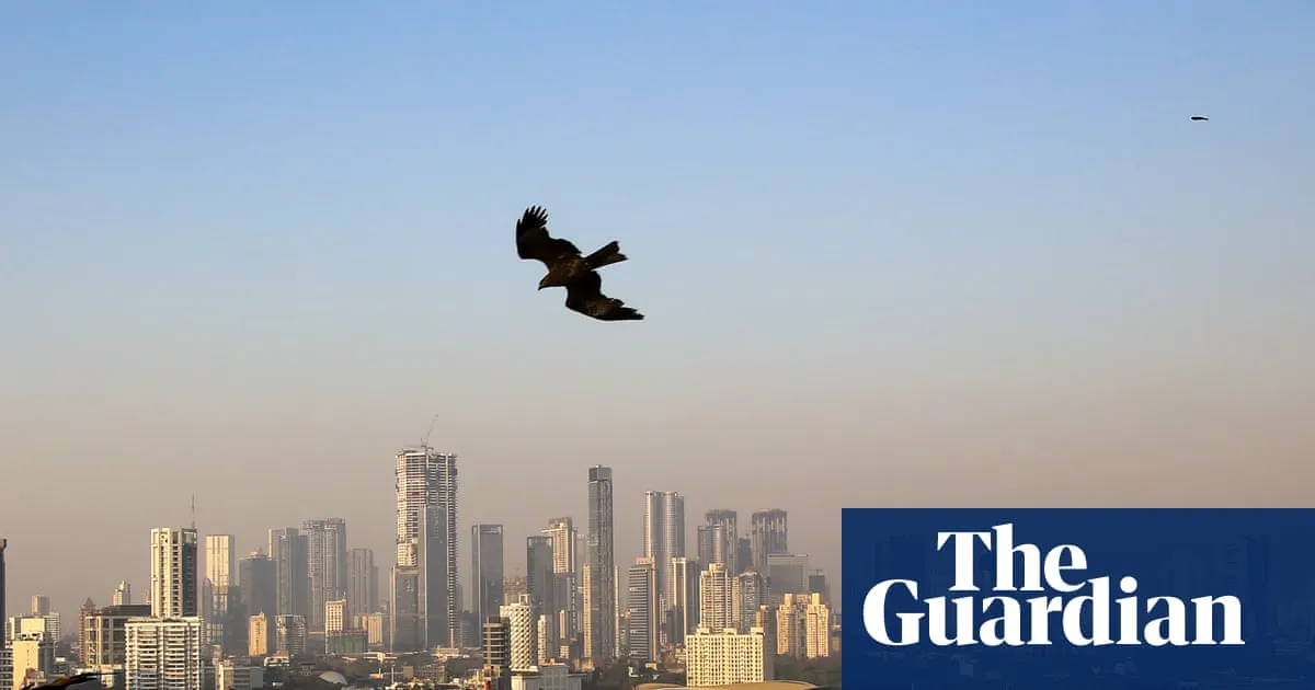 What would it take to make India’s cities better – and safer?