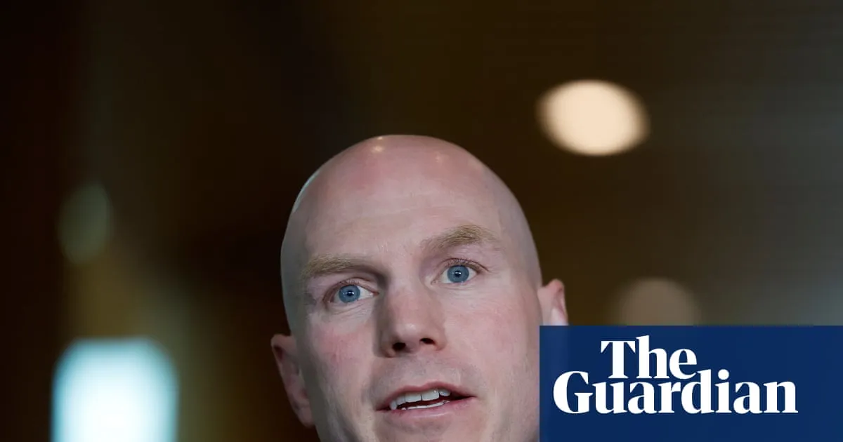 Pocock says Labor easing copyright protections for AI datacentre investment would throw creatives ‘under the bus’