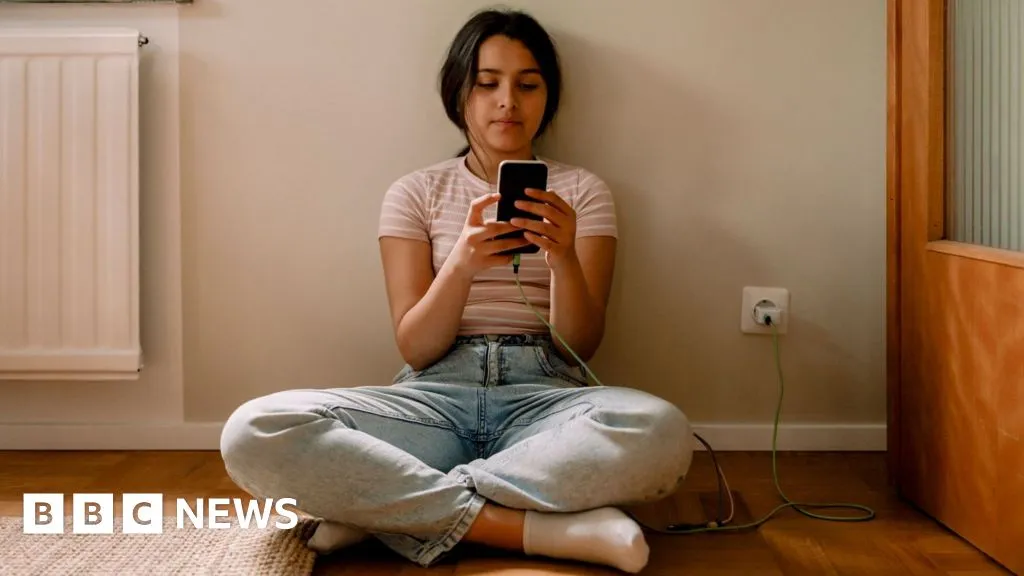 EU announces plan to restrict social media access for under-15s