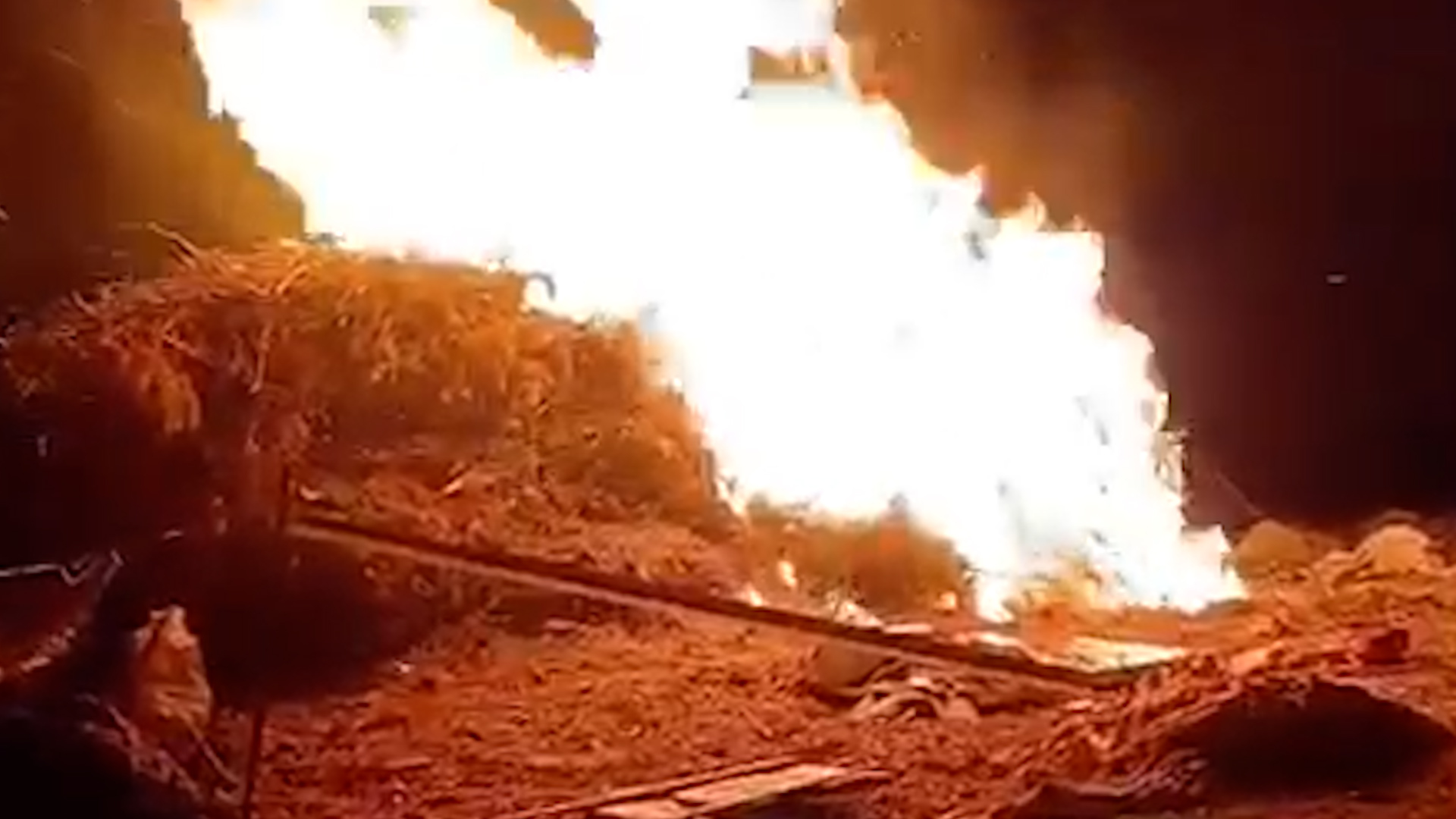 Video: Israeli settlers carry out arson attacks in occupied West Bank