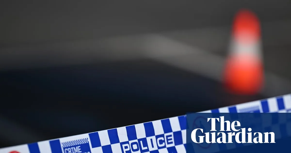 Man charged with stabbing murder of 90-year-old woman in Bondi Beach amid spate of alleged domestic violence killings