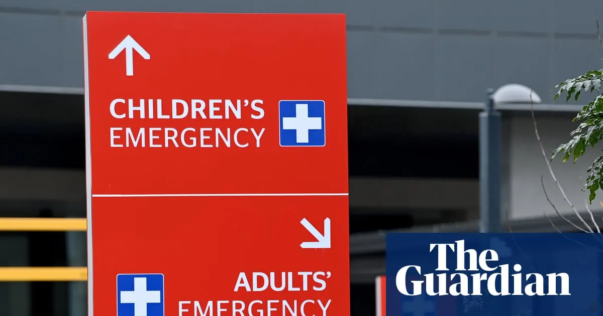 One child dead and two children and woman in critical condition after Blue Mountains stabbing