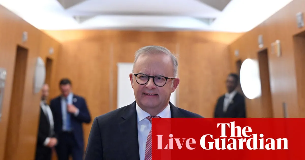 Australia news live: Albanese signs declaration with world leaders urging human control over AI; city of Sydney bans smartglasses