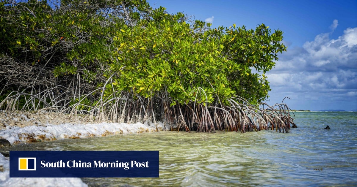 Caribbean island wins climate case against Netherlands forcing Dutch action on rising seas