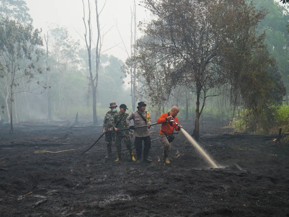 Scientists warn super El Nino could cause 450,000 deaths: Should we worry?