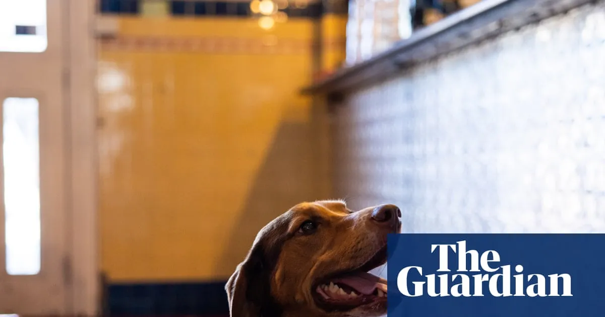 Are pubs and pups a good mix? Dog owners delight as Victoria looks to follow Europe’s lead