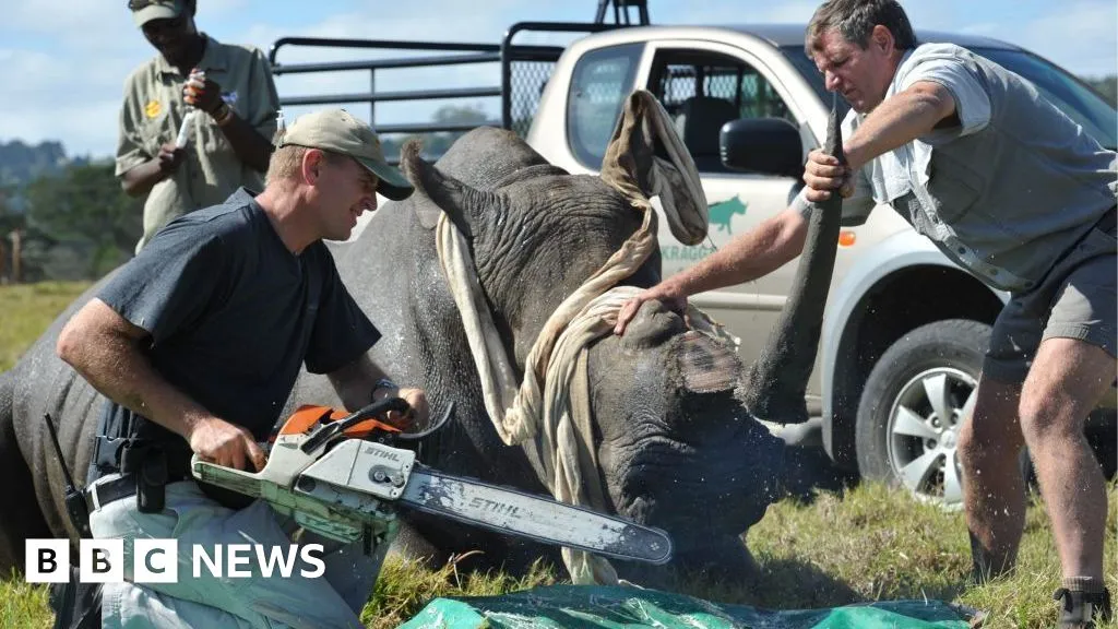 Namibia loses bid to overturn ban on rhino horn trade