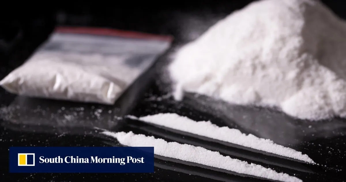 Couple from China arrested in Malaysia after raid on luxury condo drug lab