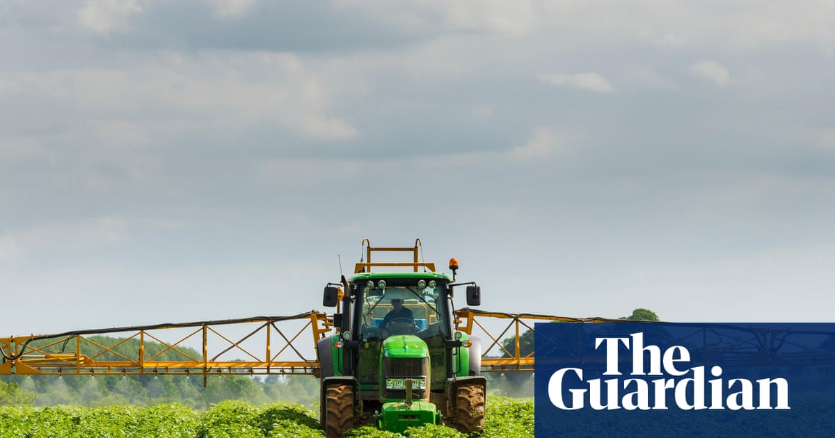 Food sector calls for transition period if UK and EU agree post-Brexit rules reset