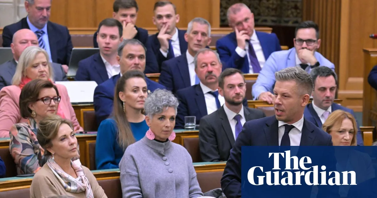 Two former Hungarian ministers detained over suspected bribery and misuse of public funds