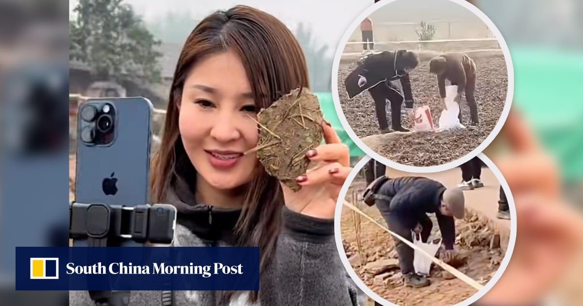 China woman’s online fame from slaughtering pigs turns soil in nearby land into ‘lucky charm’
