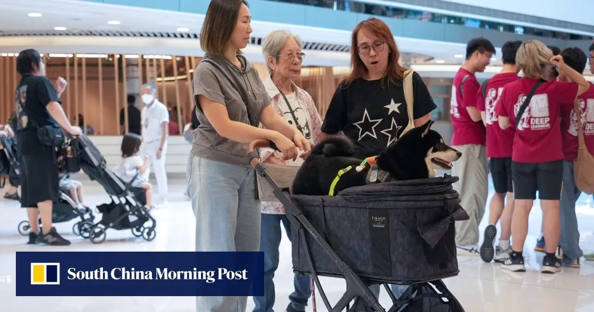 Hong Kong’s first dog-friendly restaurants could be opening sooner than you think