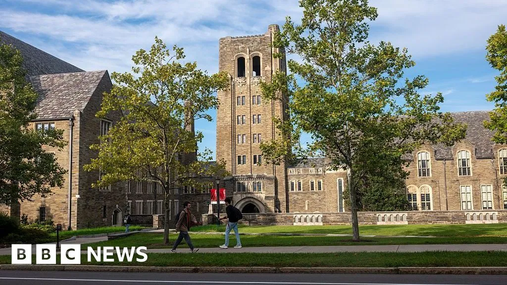 Cornell frat house rape accuser 'under siege' online, says lawyer