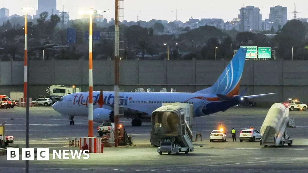 Flydubai co-pilot planned to crash plane into Tel Aviv airport or building, reports say