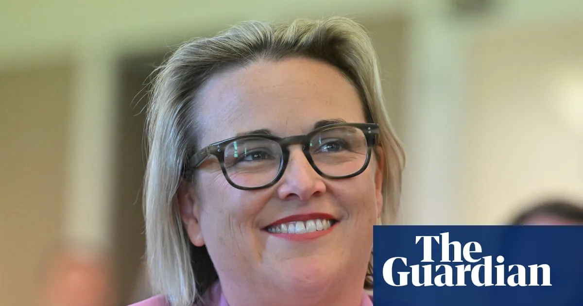 OpenAI must explain action taken to stop AI hacking Australians’ private data, chair of federal inquiry says