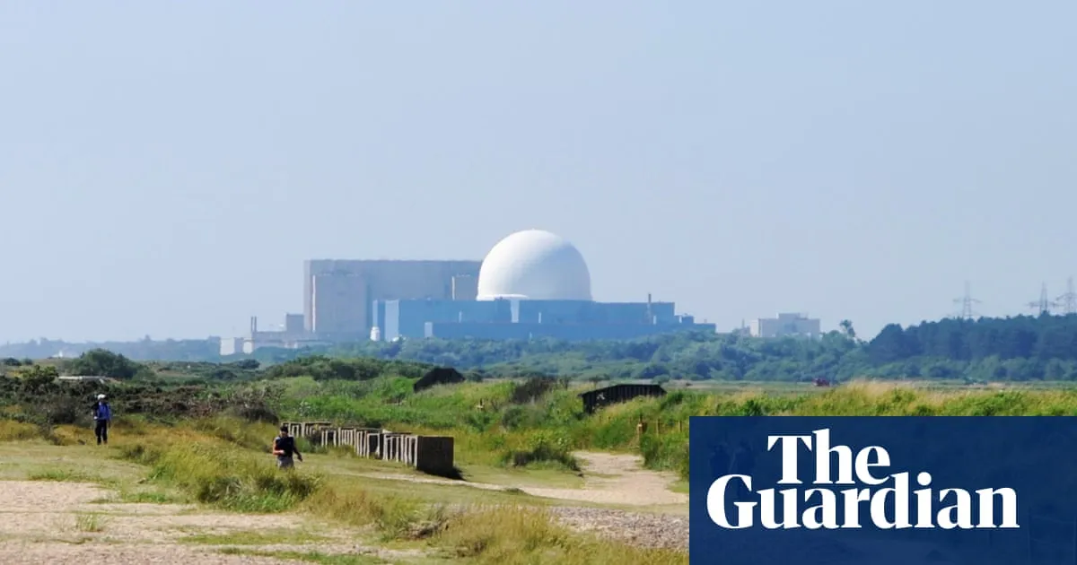 Green party drops longstanding opposition to nuclear power