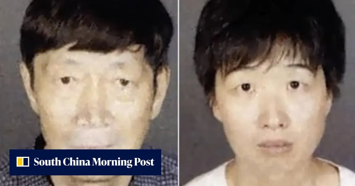 US seeks US$100 million bail each for Chinese-born couple in surrogacy child abuse case