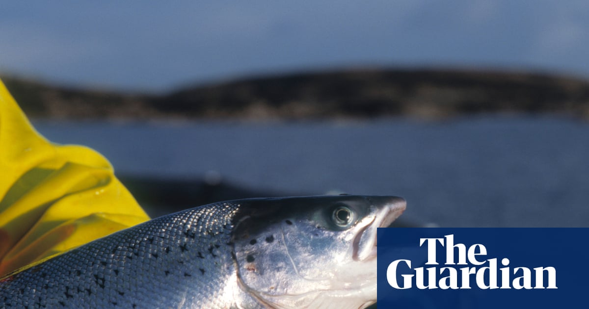 Organic salmon certifier forced to share findings amid claims consumers misled
