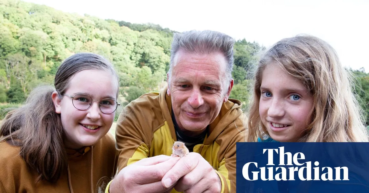 Wanted: children to rear harvest mice at home for wild release in Devon