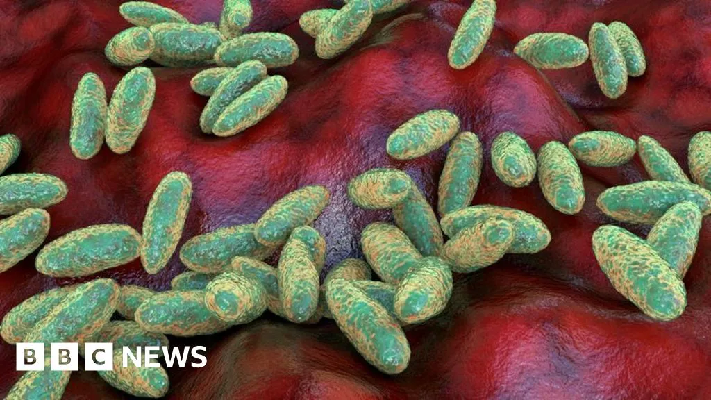 What is pneumonic plague and how does it spread?