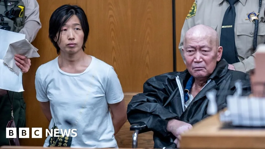 California pair charged with abusing at least 14 surrogate-born children
