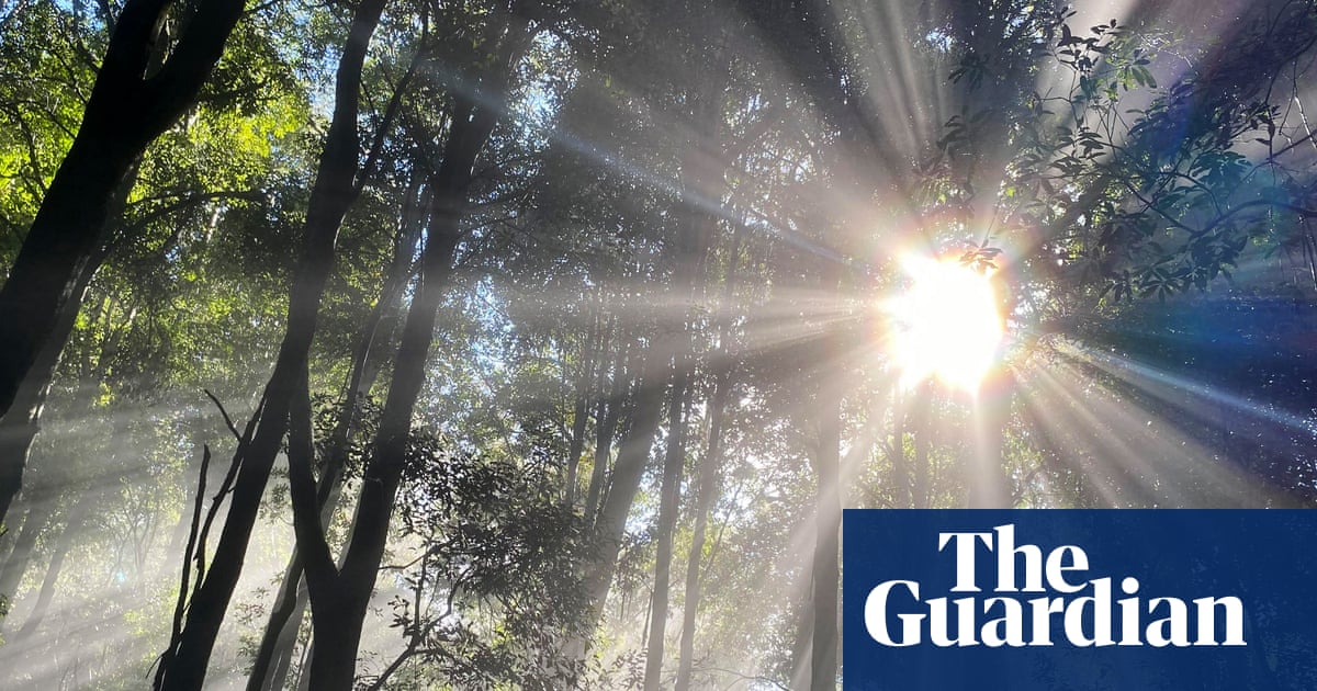 Teenage boy’s body found in creek after Blue Mountains camping trip