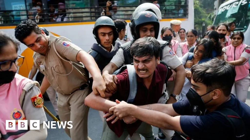 'Cockroach' group leaders among hundreds detained in Delhi protest