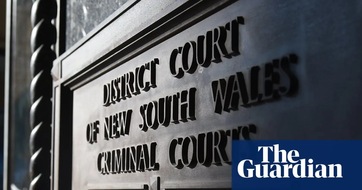 Lanlan Yang pleads not guilty to two additional charges over crash after admitting to breach of bail