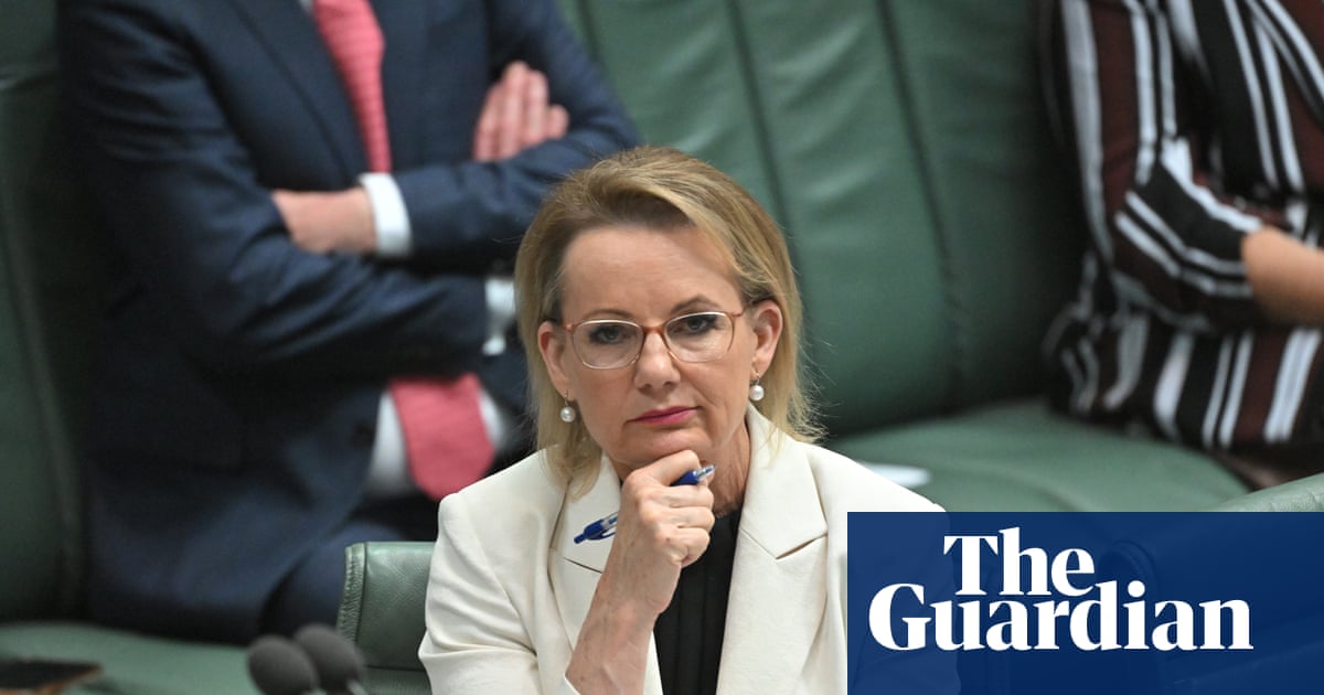 Sussan Ley unveils all-Liberal interim shadow cabinet and gives Nationals an ultimatum