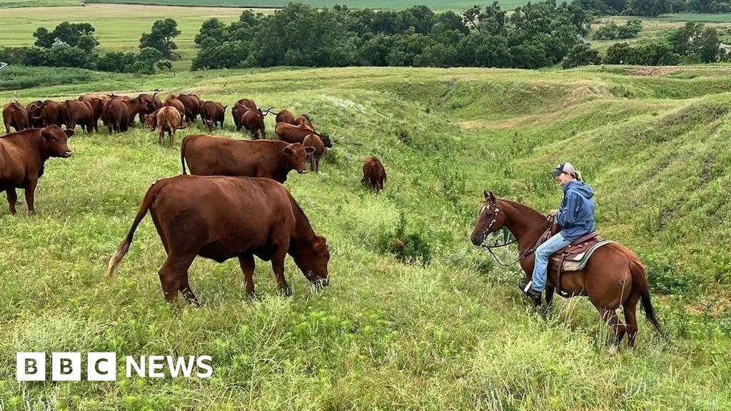 American ranchers wrestle with soaring costs - and their loyalty to Trump