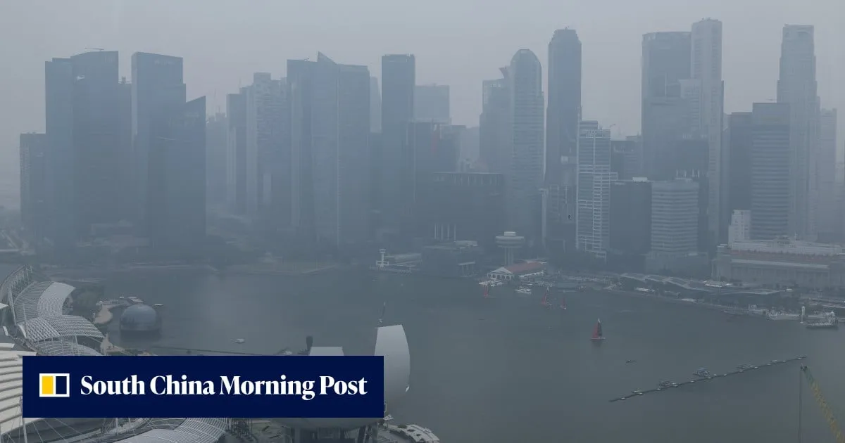 Singapore tops global air pollution ranks again, rolls out haze subsidies