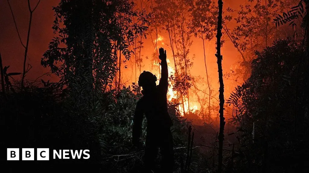Who's to blame for the toxic smog choking South East Asia?  