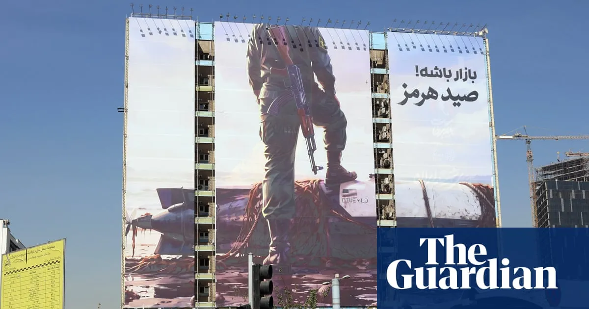 Container ship sinks near strait of Hormuz amid surge in Iranian attacks