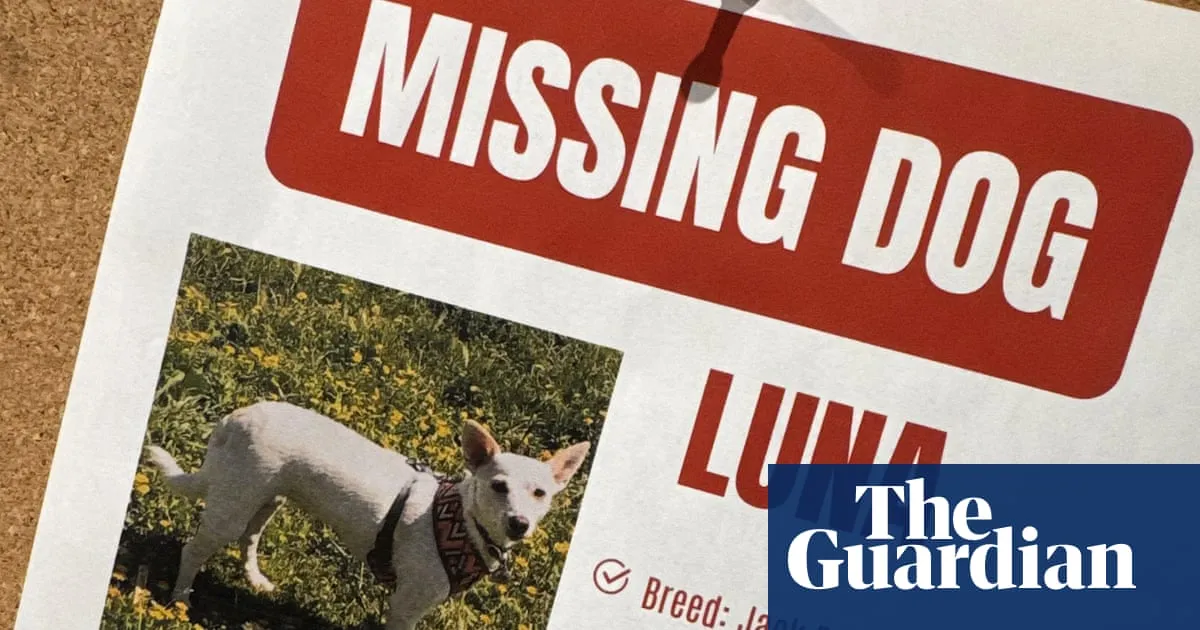 Luna, dog missing in Yellowstone for a month, is reunited with her owners