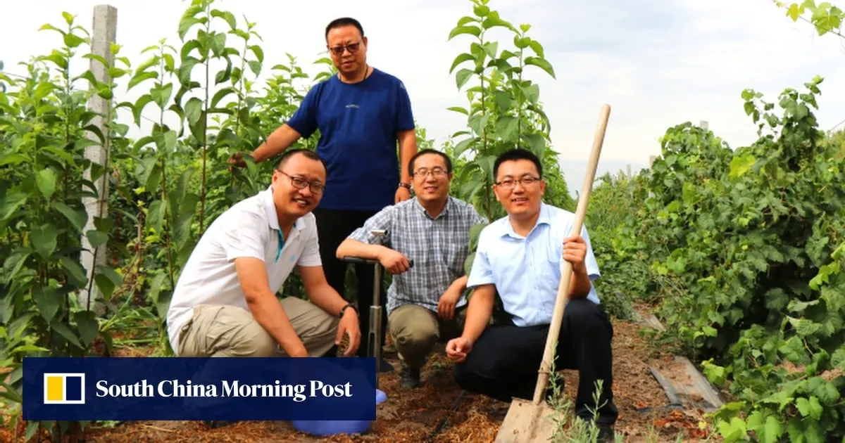 It is ‘flourishing’: China’s man-made forest in Gobi produces good rubber for military use
