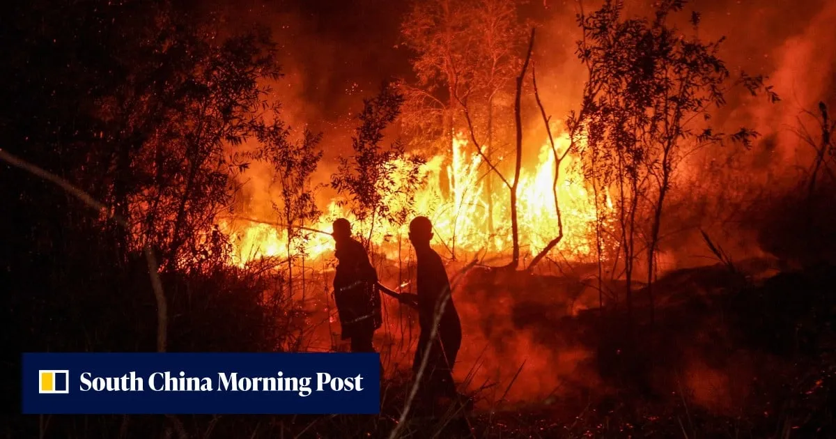 Indonesian governor’s Singapore trip adds fury to forest fire, haze crisis