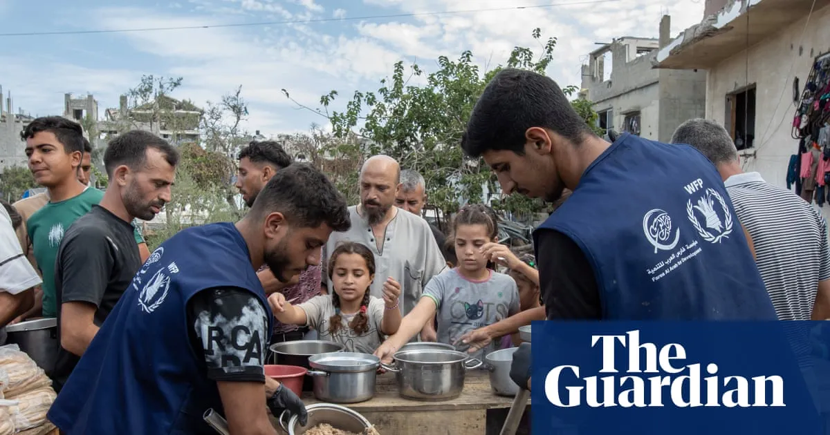 Cuts force World Food Programme to end support for half a million Palestinians in Gaza