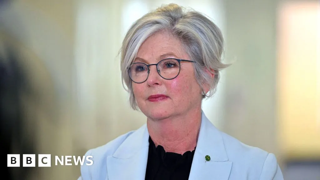 Australian MP critically injured after being hit by car in apparent attack